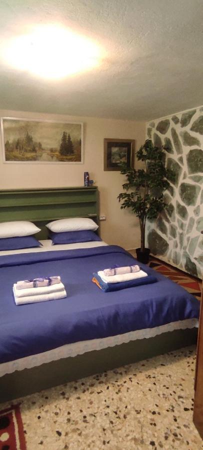 דירות ארטמידה Shley House 1 מראה חיצוני תמונה