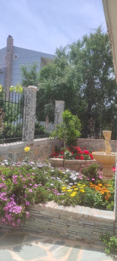 דירות ארטמידה Shley House 1 מראה חיצוני תמונה
